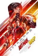 Ant-Man i Osa / Ant-Man and the Wasp (2018) [H265] [1280x536] [Dubbing PL] [mkv]  [FIONA9]