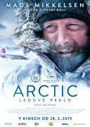 Arktyka / Arctic (2018) [PL 1080p BluRay x264 AC3-LTS] [Lektor PL] [mkv]  [FIONA9]