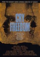 Krzyk wolnosci / Cry Freedom (1987) [720p] [BRRip] [XviD] [AC3-LTN] [Lektor PL]