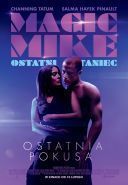 Magic Mike: Ostatni taniec / Magic Mike\'s Last Dance (2023) [PL.720p.WEB-DL.XviD.DD5.1-AZQ] [Lektor PL] [avi]  [FIONA9]