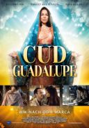 Cud Guadalupe / Lady of Guadalupe (2020) [PL.1080p.WEB-DL.x264-OzW] [Lektor PL] [mkv]  [FIONA9]