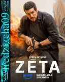 Agent Zeta / Zeta (2026) [720p] [WEB-DL] [XviD] [AC3-OzW] [Lektor PL]