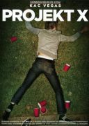 Projekt X / Project X (2012) [PL DVDRip XviD BiDA] [Lektor PL] [avi] [FIONA9]