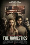Zwykli obywatele / The Domestics (2018) [MULTi 1080p BluRay x264 DTS AC3-DENDA] [Lektor PL] [mkv]  [FIONA9]
