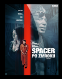 Spacer po zmroku / Night Walk (2019) [480p] [BRRip] [XviD] [DD2.0-K83] [Lektor PL] [avi] [FIONA9]