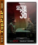 Sector 36 / Sector 36 (2024) [480p] [WEB-DL] [XviD] [DD5 1-K83] [Lektor PL]