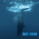 Deep Forest, DeLaurentis &amp; Eric Mouquet - Deep Ocean (2023) [Flac]