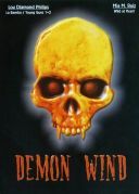 Demoniczny wiatr / Demon Wind (1990) [PL 1080p WEB-DL H264-wasik] [mkv] [FIONA9]