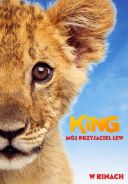 King: Moj przyjaciel lew / King (2022) [PLDUB 720p BluRay x264 AC3-KiT] [Dubbing PL] [mkv] [FIONA9]