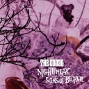 The Coral - Nightfreak And The Sons Of Becker (2004) [FLAC]