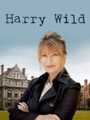 Harry Wild (2024) S03E01 [PL.1080i.HDTV.x264] [Lektor PL] [mkv]  [FIONA9]