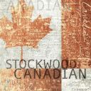 Kim Stockwood - Canadian (2018) [FLAC] [ToAlien]