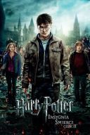 Harry Potter i Insygnia smirci cz.2/ Harry Potter and the Deathly Hallows: Part 2 (2011) [1080p] [BRRip] [H264] [AC3-d11] [Dubbing PL]