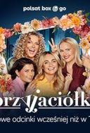 Przyjaciolki [S26E11] [1080p] [WEB-DL] [H.264-BRX] [Serial Polski]