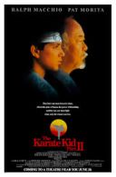 Karate Kid 2 / The Karate Kid, Part II (1986) [MULTi.1080p.BluRay.x264-DSiTE] [Lektor PL] [mkv]  [FIONA9]
