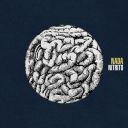 Nada - Nitrito (2025) [Flac]