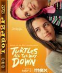 Zolwie az do konca / Turtles All the Way Down (2024) [480p] [WEB-DL] [XviD] [DD5 1-K83] [Lektor PL]