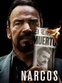 Narcos (2015) [Sezon 1] [MULTi] [2160p] [WEB-DL] [DDP5.1] [DV] [HDR10] [HEVC-Ralf] [Lektor &amp; Napisy PL]