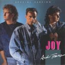 Joy - Joy And Tears (Special Version) (2010) [FLAC]