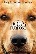 Był sobie pies / A Dog's Purpose (2017) [MULTi 1080p BluRay x264 DTS AC3-DENDA] [Lektor PL] [mkv]  [FIONA9] [#309  TopFilmyFilmweb]