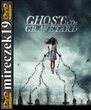 Duch z cmentarza - Ghost in the Graveyard *2019* [DVDRip] [XviD-NN] [Lektor PL]