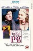 Godzina świni / The Hour of the Pig (1993) [PL.CUSTOM.DVDRip.XviD-RETRO] [Lektor PL] [avi] [FIONA9]