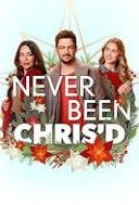 Never Been Chris'd (2023) [PL.480p.AC3.WEB-DL.XviD-GR4PE] [Lektor PL] [avi] [FIONA9]