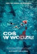 Cos w wodzie / Something in the Water (2024) [PL 720p WEB-DL H264-FOX] [Lektor PL] [mkv] [FIONA9]