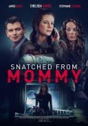 Matczyna Furia / Snatched from Mommy (2021) [PL.1080p.WEB-DL.H264-FOX] [Lektor PL] [mkv]  [FIONA9]