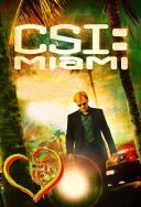 CSI Kryminalne zagadki Miami - CSI Miami 2002-2012 [S01-S10] [10Bit] [1080p.WEB-DL.H265-AS76-FT] [Lektor PL] [Alusia]