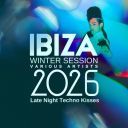 (House, Tech House, Techno) VA - Ibiza Winter Session 2026 (Late Night Techno Kisses) - 2025, [FLAC] [ToAlien]