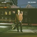 Joe Pernice - Sunny, I Was Wrong (2026) [Flac]