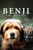 Gdzie jest Benji/Benji the Hunted (1984) [1080p] [BRRip] [H264] [AC3-d11] [Lektor.pl]