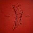 Troika (New Zealand) - Prototype - Irrlicht (2011) [FLAC] [t0deusz]