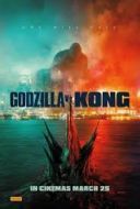 Godzilla vs. Kong (2021) [4] [720p.edition-BlueRay.H265.DarK] [Lektor PL] [mkv] [FIONA9]