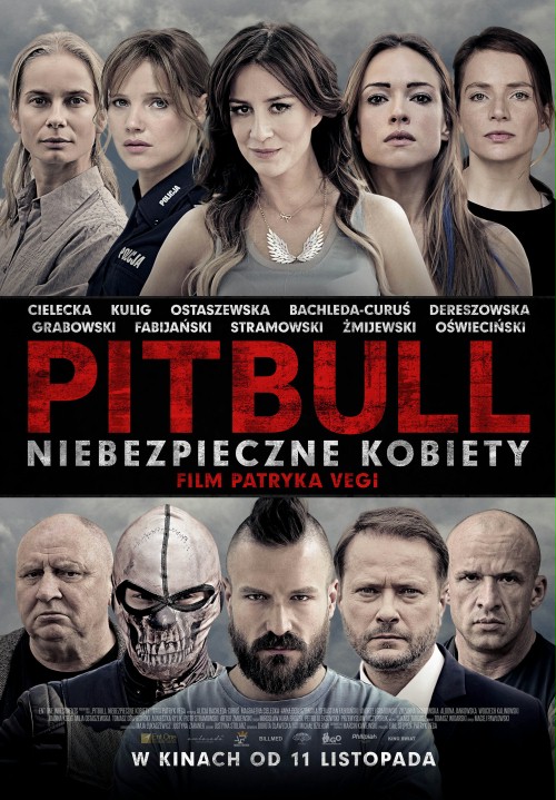 Pitbull. Niebezpieczne kobiety (2016) [BDRip] [VO] [M. Chadov] [POL/RUS] [Film Polski]