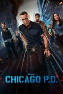 Chicago P.D. (2024) S12E19 [PL.480p.AMZN.WEB-DL.XviD-H3Q] [Lektor PL] [avi]  [FIONA9]