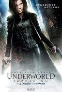 Underworld Przebudzenie / Underworld Awakening (2012) [MULTi.1080p.BluRay.x264-DSiTE] [Lektor PL] [mkv]  [FIONA9]