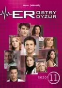 Ostry dyzur / ER (2006-2007) [Sezon 13] [Lektor &amp; Napisy PL] [MULTi] [1080p] [WEB-DL] [DDP2.0] [H264-Ralf]