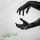 Floral Bugs - Flegma (2025) MP3 [320kbps]