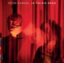 Peter Gabriel - In The Big Room (Live) (2025) [Flac]