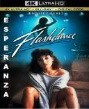 Flashdance (1983) [PL DVDRip AC3 XviD-M4K3] [Lektor PL] [avi] [FIONA9]