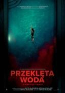 Przeklęta woda / Night Swim (2024) [WEB-DL] [XviD] [K83] [Lektor PL] [ToAlien]