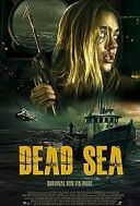 Coś w wodzie / Dead Sea (2024) [PL.1080p.WEB-DL.H264-FOX] [Lektor PL] [mkv]  [FIONA9]