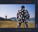 Pink Floyd - Delicate Sound of Thunder (1988) [FLAC]