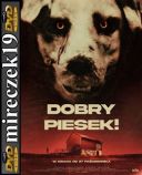 Dobry piesek - Good Boy *2022* [480p] [WEB-DL] [XviD] [DD5 1-OzW] [Napisy PL]