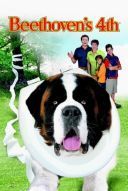Beethoven 4 / Beethoven's 4th (2001) [PL.WEB-DL.720p.XviD.AC3-LTN] [Lektor PL] [avi]  [FIONA9]