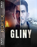 Gliny - The Cops (2021) [s01] [1080p] [MULTi] [WEB-DL] [H264-RX] [Lektor PL]