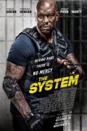 The System (2022) [PL 720p BDRip x264 AC3 5 1-MG] [Lektor PL] [mkv] [FIONA9]
