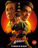 Karate Kid: Legendy / Karate Kid: Legends (2025) [PLDUB.WEB-DL.XviD-OzW] [Dubbing PL] [avi]  [FIONA9]